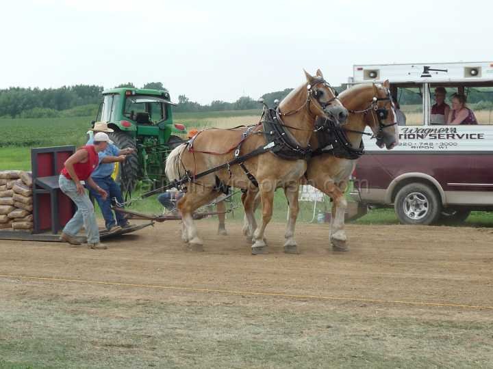 alto-fair-horse-pull-2009-598