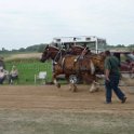 alto-fair-horse-pull-2009-515