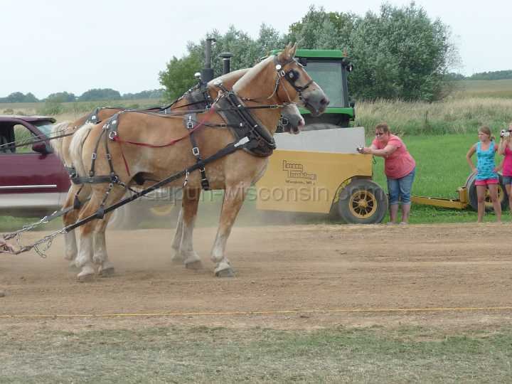 alto-fair-horse-pull-2009-609