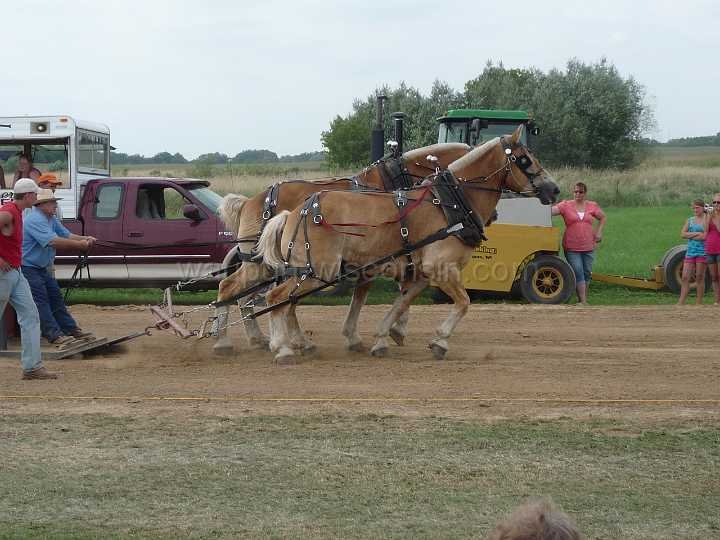alto-fair-horse-pull-2009-611
