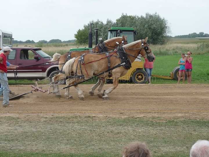 alto-fair-horse-pull-2009-612