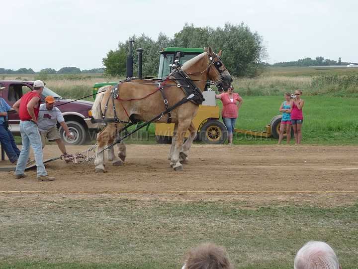 alto-fair-horse-pull-2009-615
