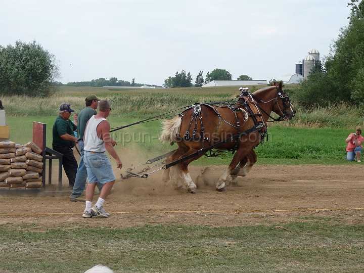 alto-fair-horse-pull-2009-624