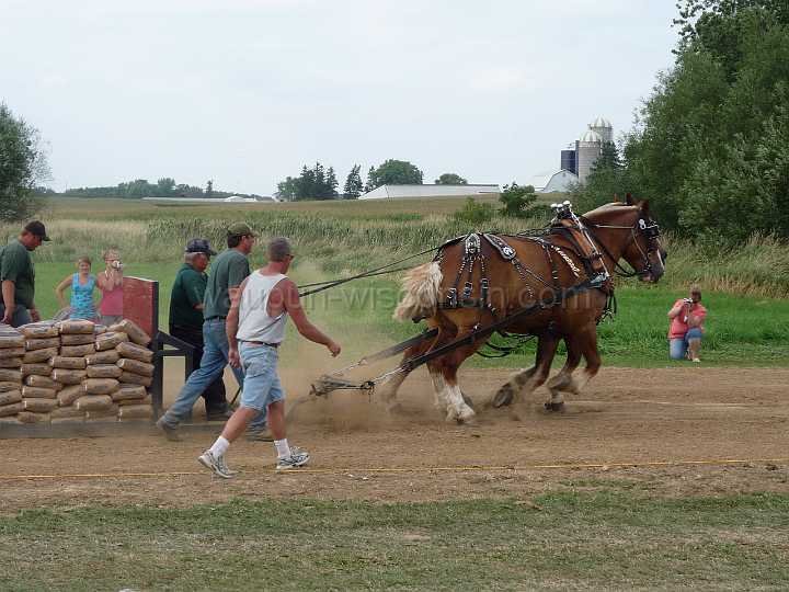 alto-fair-horse-pull-2009-625