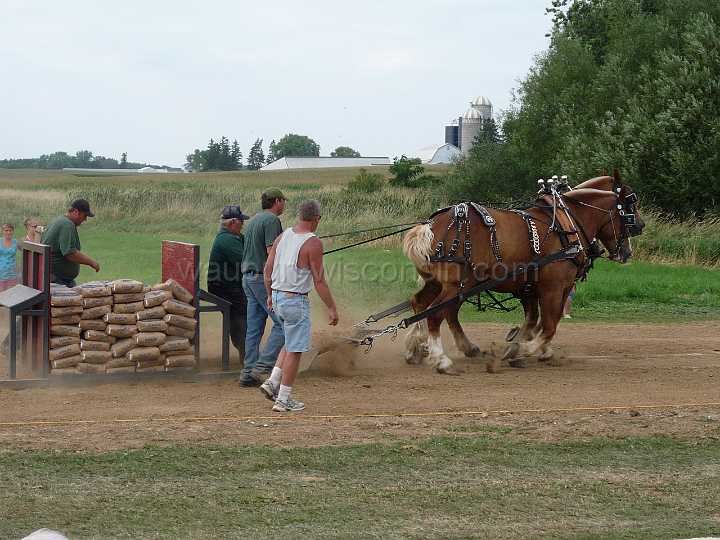 alto-fair-horse-pull-2009-626