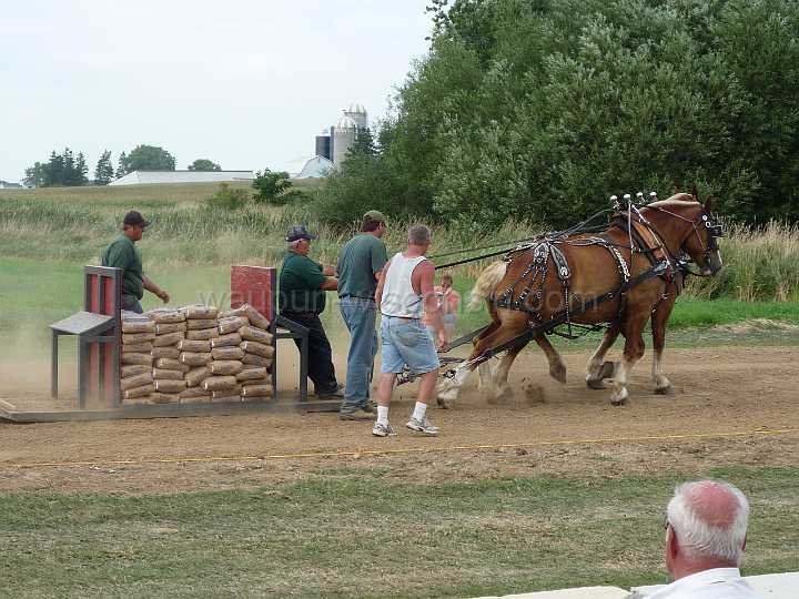 alto-fair-horse-pull-2009-628