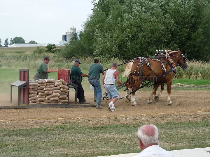 alto-fair-horse-pull-2009-629