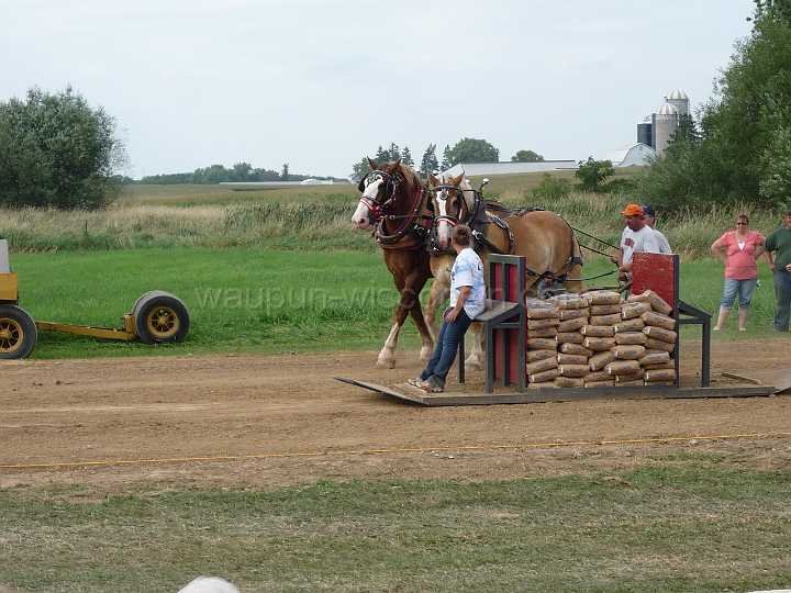 alto-fair-horse-pull-2009-642