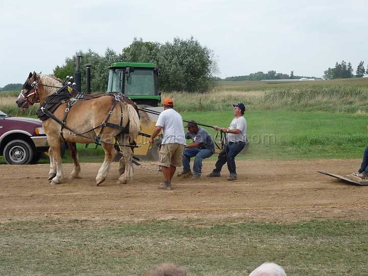 alto-fair-horse-pull-2009-652