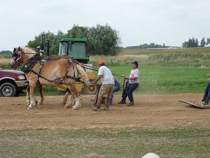 alto-fair-horse-pull-2009-653