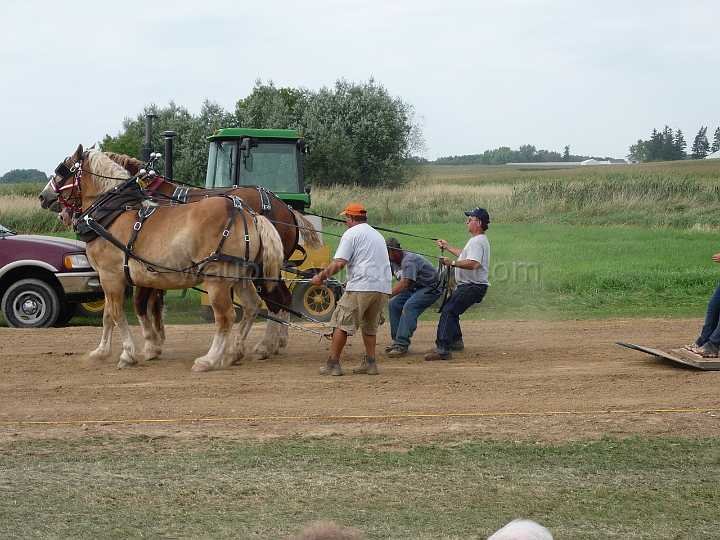 alto-fair-horse-pull-2009-654