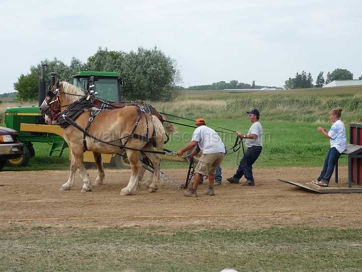 alto-fair-horse-pull-2009-657