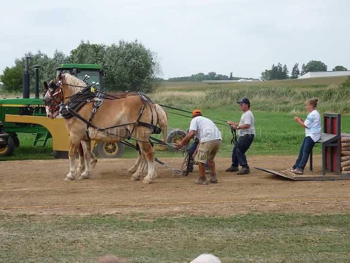alto-fair-horse-pull-2009-658