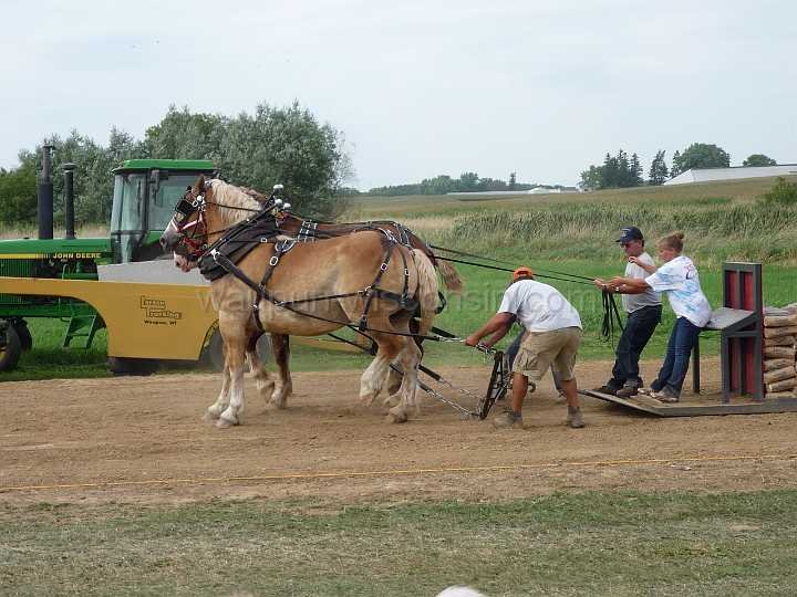alto-fair-horse-pull-2009-660