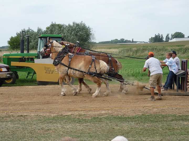 alto-fair-horse-pull-2009-663