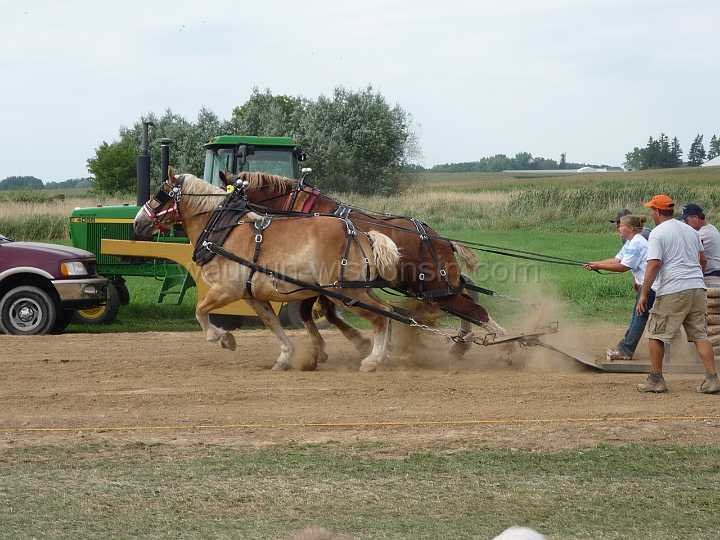 alto-fair-horse-pull-2009-664