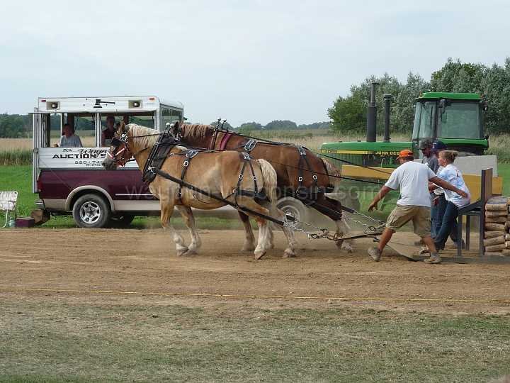 alto-fair-horse-pull-2009-671