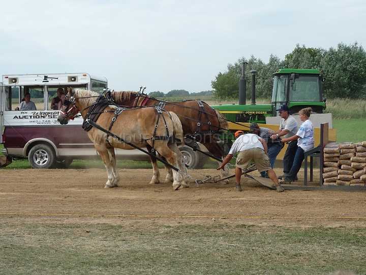 alto-fair-horse-pull-2009-673