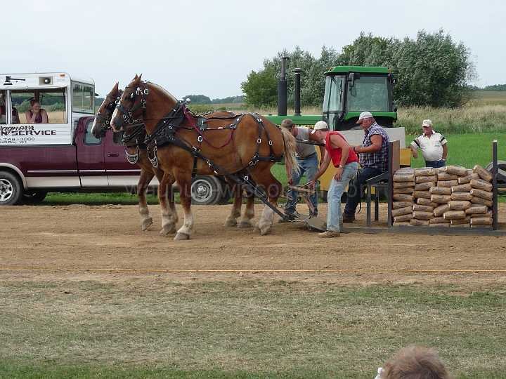 alto-fair-horse-pull-2009-676
