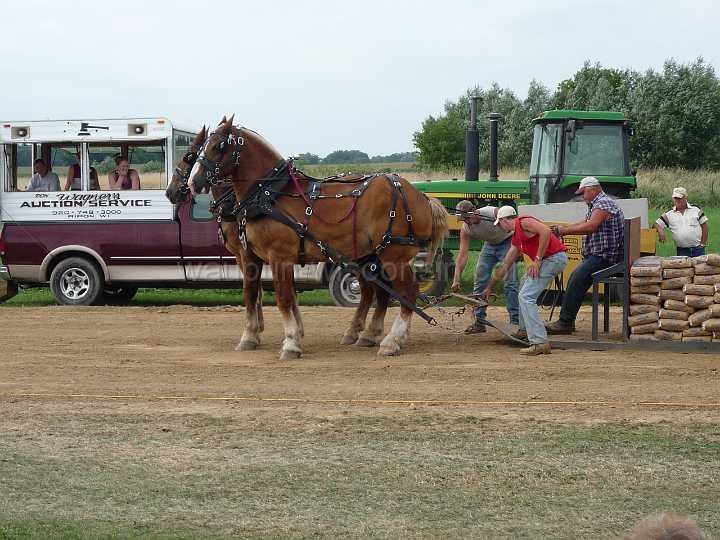 alto-fair-horse-pull-2009-678