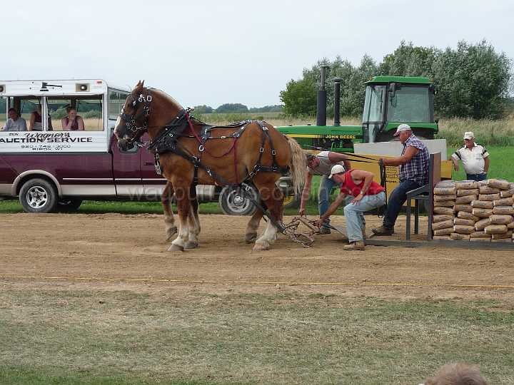 alto-fair-horse-pull-2009-679