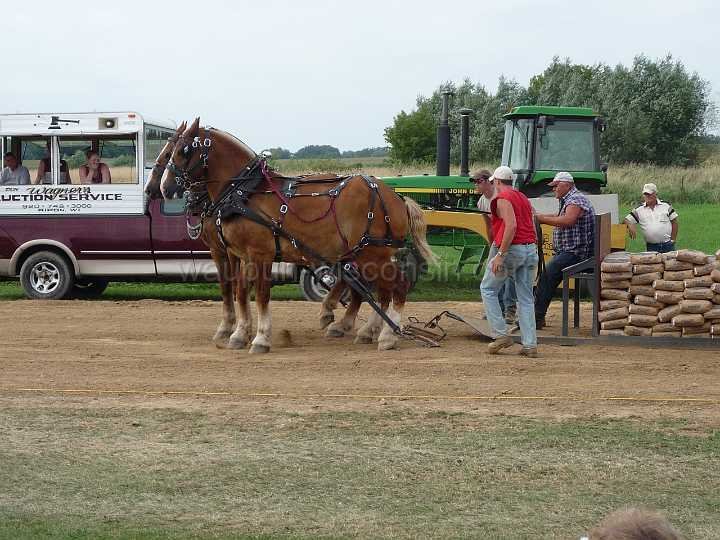 alto-fair-horse-pull-2009-681