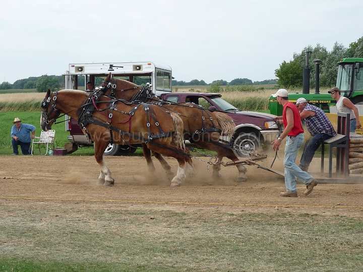 alto-fair-horse-pull-2009-684