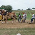 alto-fair-horse-pull-2009-646