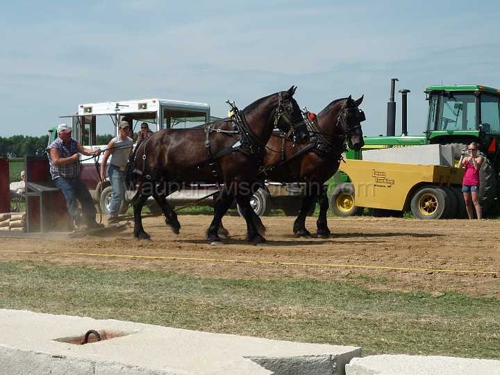alto-fair-horse-pull-2009-005