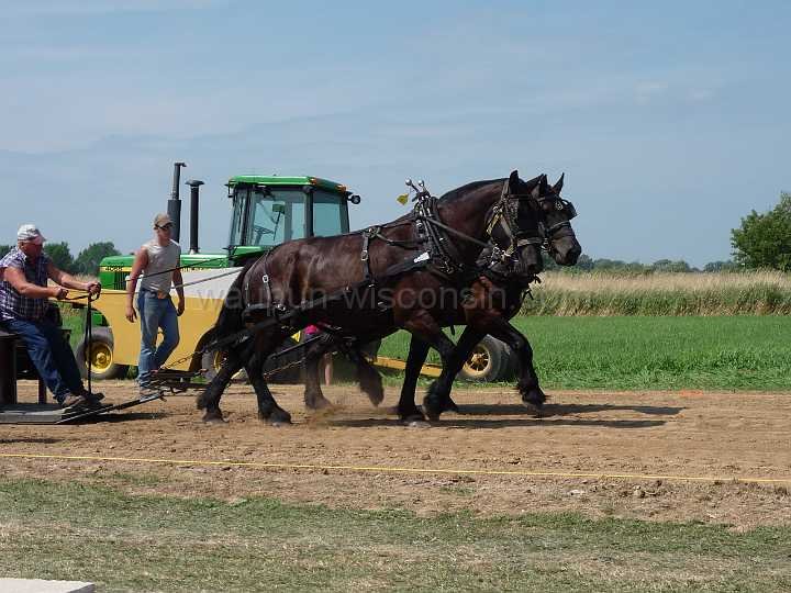 alto-fair-horse-pull-2009-009