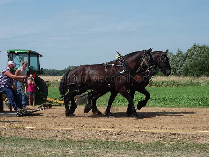 alto-fair-horse-pull-2009-011