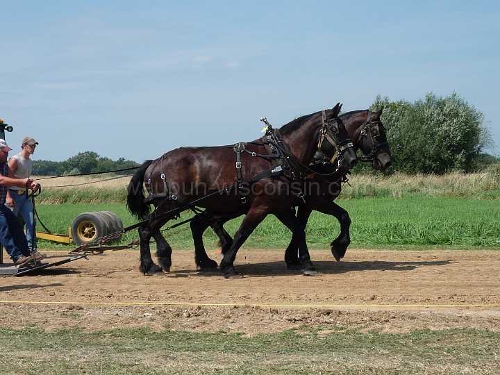 alto-fair-horse-pull-2009-012