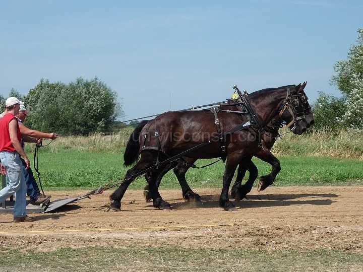 alto-fair-horse-pull-2009-017