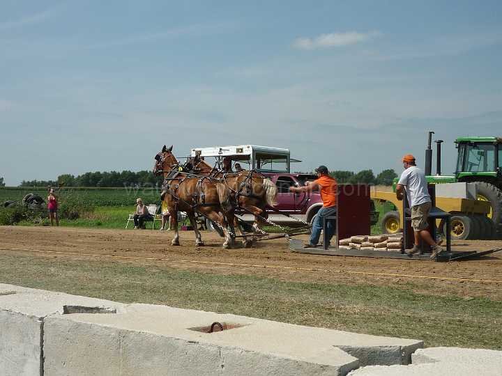 alto-fair-horse-pull-2009-022