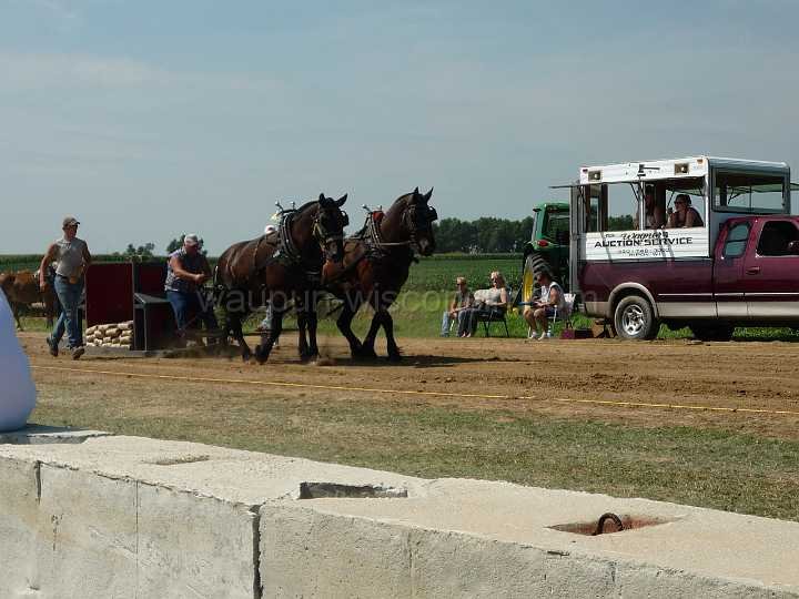 alto-fair-horse-pull-2009-026