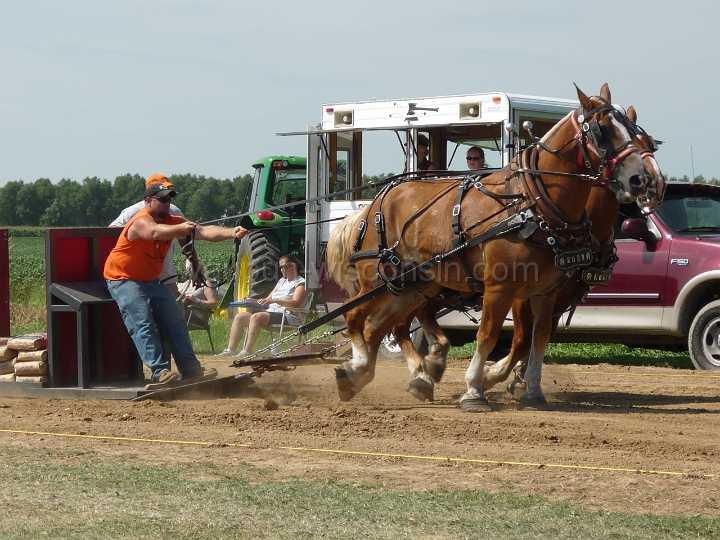 alto-fair-horse-pull-2009-030