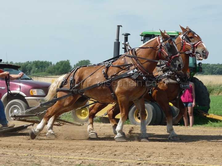 alto-fair-horse-pull-2009-033