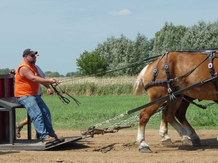 alto-fair-horse-pull-2009-038