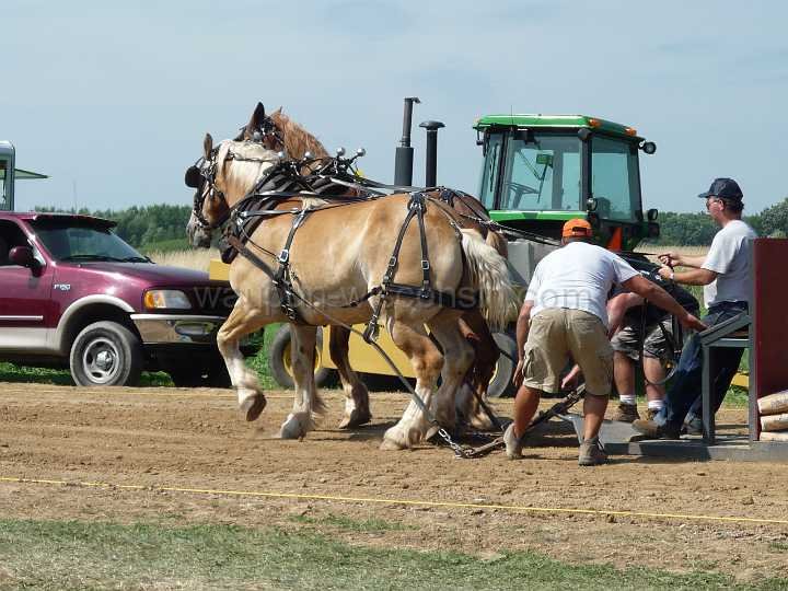 alto-fair-horse-pull-2009-045