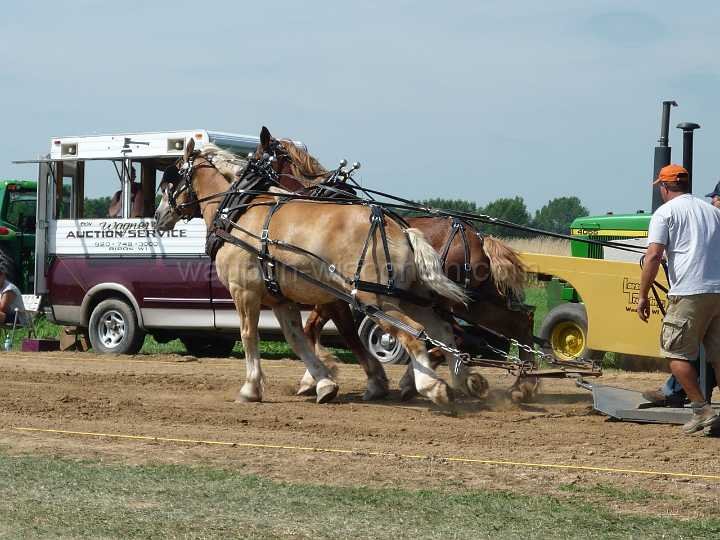 alto-fair-horse-pull-2009-049