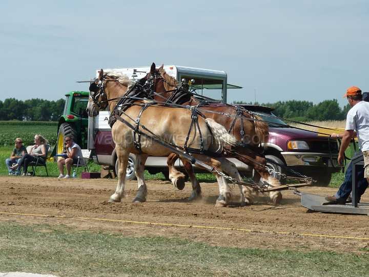 alto-fair-horse-pull-2009-050