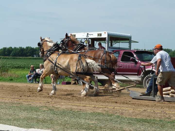 alto-fair-horse-pull-2009-051