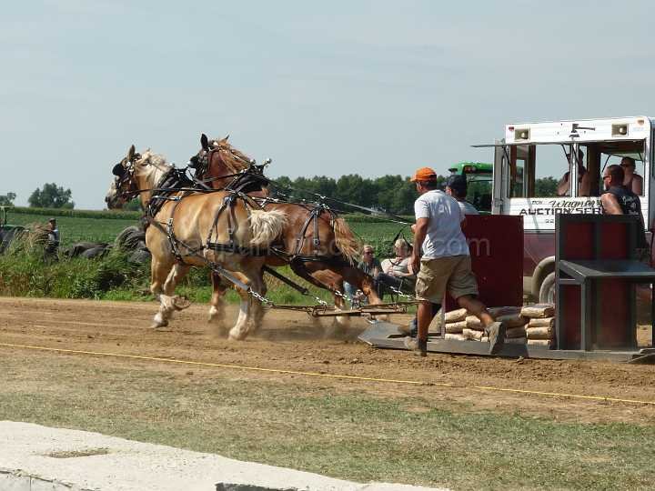 alto-fair-horse-pull-2009-054