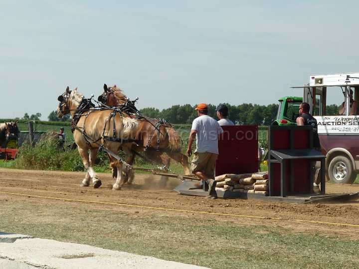 alto-fair-horse-pull-2009-055