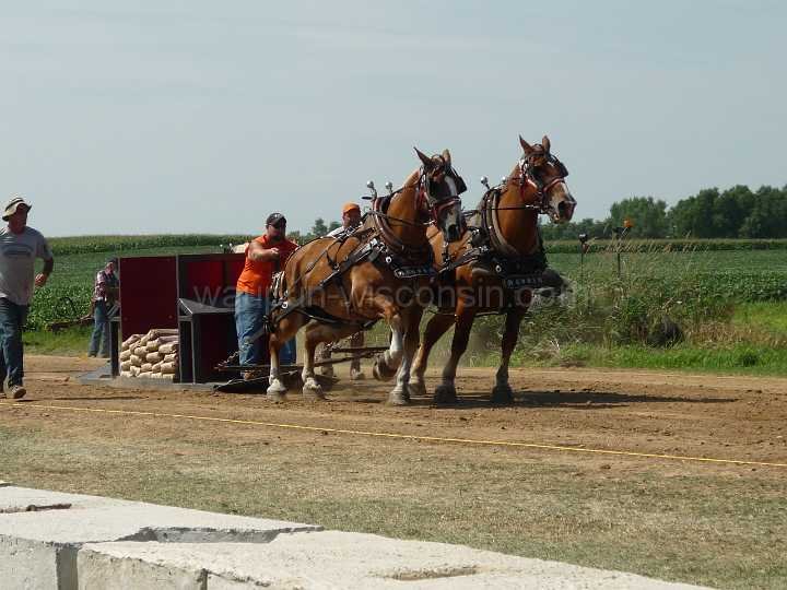 alto-fair-horse-pull-2009-060