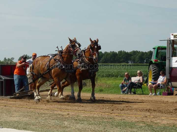 alto-fair-horse-pull-2009-062