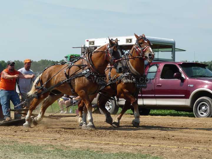 alto-fair-horse-pull-2009-066