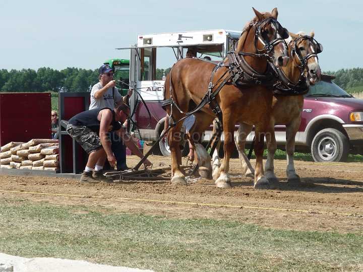 alto-fair-horse-pull-2009-071