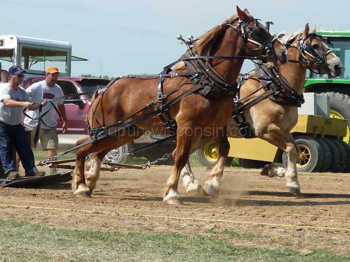 alto-fair-horse-pull-2009-077