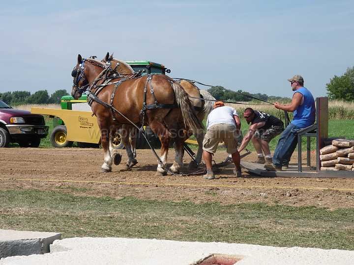 alto-fair-horse-pull-2009-093